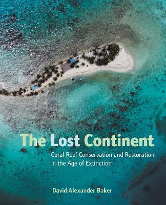 The Lost Continent - David Baker - cover
