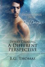 Desert Crossing: A Different Perspective