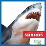 Sharks