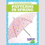 Patterns in Spring