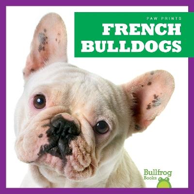 French Bulldogs - Kristine Spanier - cover