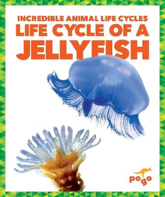 Life Cycle of a Jellyfish - Karen Latchana Kenney - cover