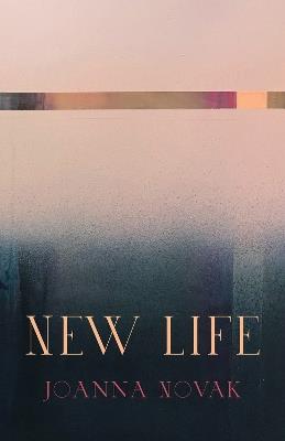 New Life - JoAnna Novak - cover