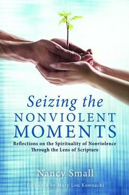 Seizing the Nonviolent Moments - Nancy Small - cover