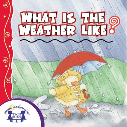 What Is The Weather Like Today?