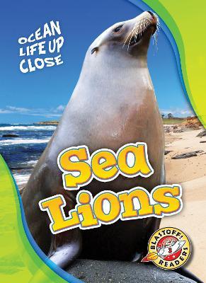 Sea Lions - Heather Adamson - cover