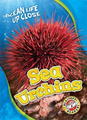 Sea Urchins - Heather Adamson - cover