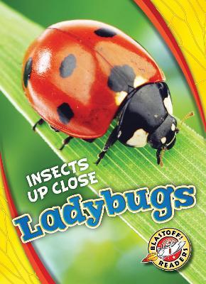 Ladybugs - Christina Leaf - cover