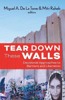 Tear Down These Walls - cover