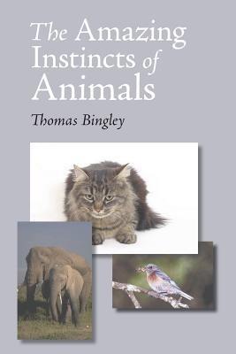 The Amazing Instinct of Animals - Thomas Bingley - cover