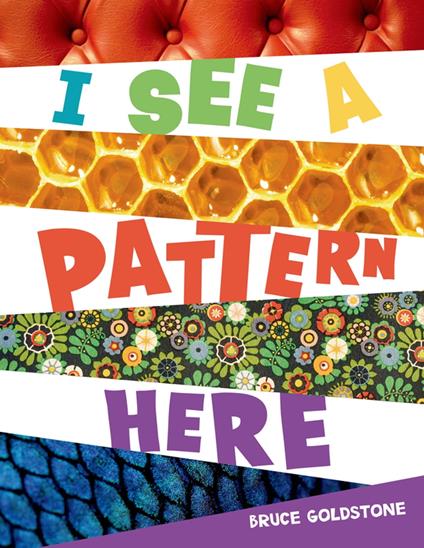 I See a Pattern Here - Bruce Goldstone - ebook