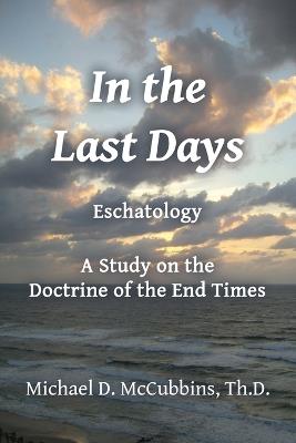 In the Last Days - Michael D McCubbins - cover