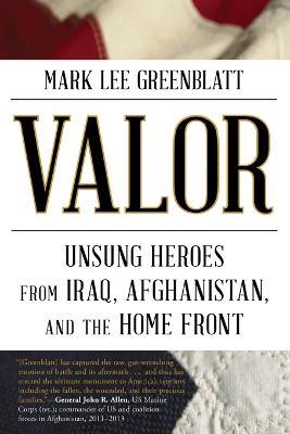 Valor: Unsung Heroes from Iraq, Afghanistan, and the Home Front - Mark Lee Greenblatt - cover