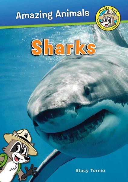 Sharks - Stacy Tornio - ebook
