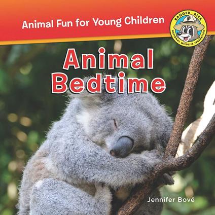 Animal Bedtime - Jennifer Bové - ebook