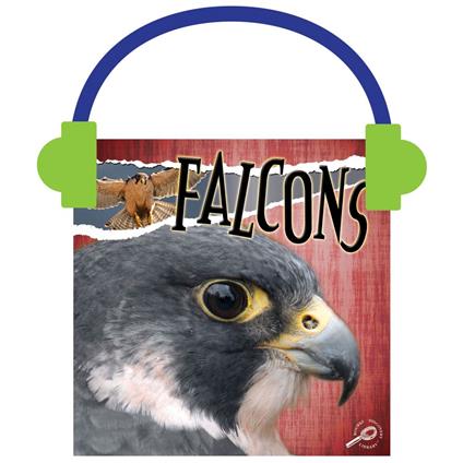 Falcons