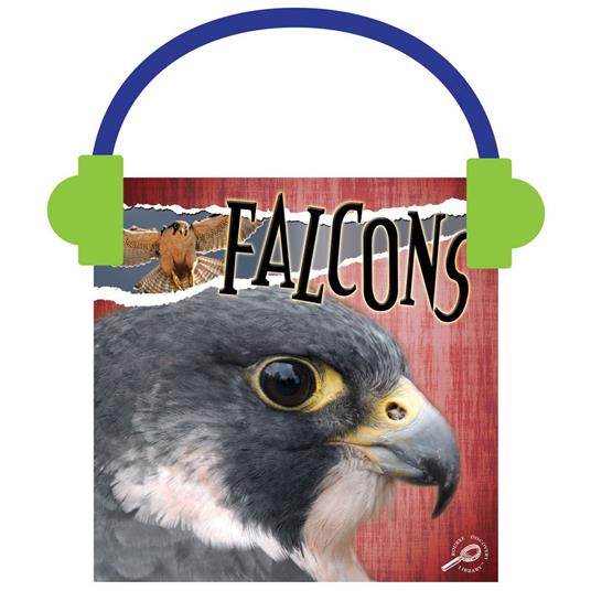 Falcons
