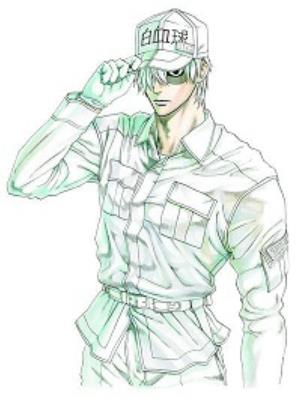 Cells At Work! 6 - Akane Shimizu - cover