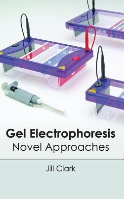 Gel Electrophoresis: Novel Approaches - cover