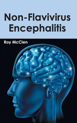 Non-Flavivirus Encephalitis - cover