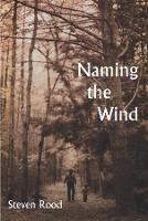 Naming the Wind - Steven Rood - cover