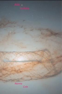 Alibi Lullaby - Norma Cole - cover