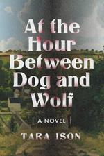 At The Hour Between Dog And Wolf: A Novel