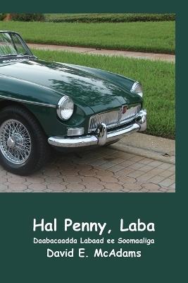 Hal Penny, Laba: Sida hal penny oo Maraykan ahi ugu noqday US$41,943.04 muddo 23 maalmood oo keliya ah - David E McAdams - cover