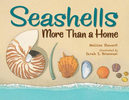 Seashells - Melissa Stewart,Sarah S. Brannen - ebook
