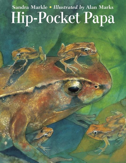 Hip-Pocket Papa - Sandra Markle,Alan Marks - ebook