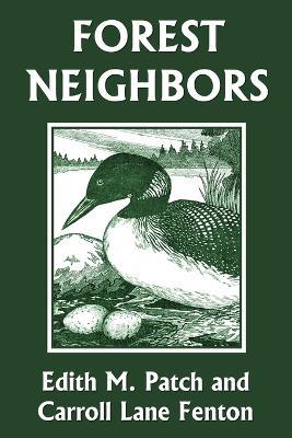 Forest Neighbors (Yesterday's Classics) - Edith M Patch,Carroll Lane Fenton - cover
