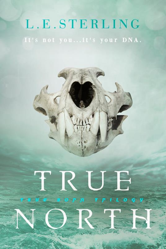 True North - L.E. Sterling - ebook