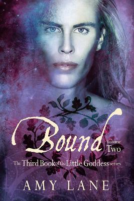 Bound, Vol. 2 - Amy Lane - cover