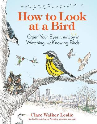 How to Look at a Bird: Open Your Eyes to the Joy of Watching and Knowing Birds - Clare Walker Leslie - cover