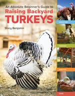 An Absolute Beginner's Guide to Raising Backyard Turkeys