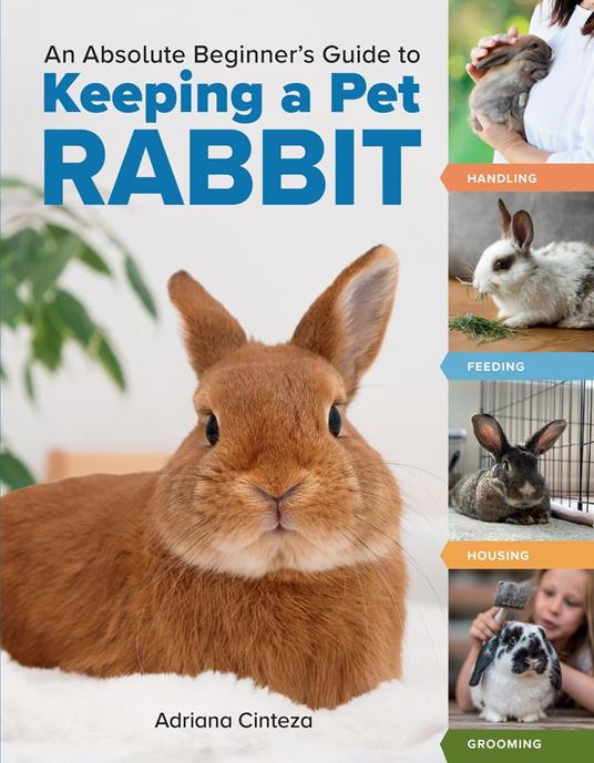 An Absolute Beginner's Guide to Keeping a Pet Rabbit