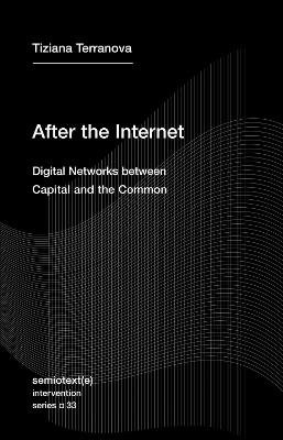 After the Internet: Digital Networks between the Capital and the Common - Tiziana Terranova - cover
