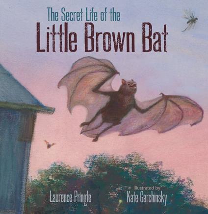 The Secret Life of the Little Brown Bat - Laurence Pringle,Kate Garchinsky - ebook