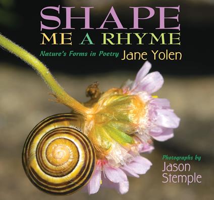 Shape Me a Rhyme - Jane Yolen,Jason Stemple - ebook