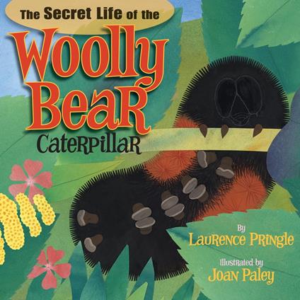 The Secret Life of the Woolly Bear Caterpillar - Laurence Pringle,Joan Paley - ebook