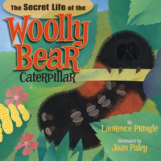 The Secret Life of the Woolly Bear Caterpillar - Laurence Pringle,Joan Paley - ebook