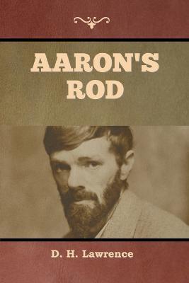 Aaron's Rod - D H Lawrence - cover