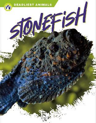 Deadliest Animals: Stonefish - Golriz Golkar - cover