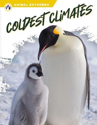 Coldest Climates - Marissa Kirkman - cover