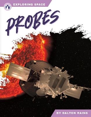 Probes - Dalton Rains - cover