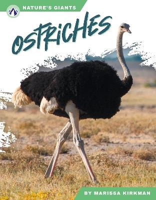Ostriches - Marissa Kirkman - cover