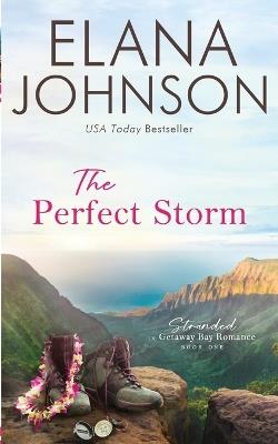 The Perfect Storm - Elana Johnson - cover