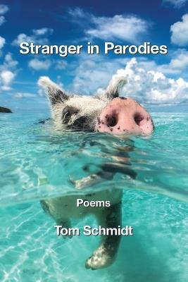 Stranger in Parodies - Tom Schmidt - cover