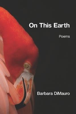 On This Earth - Barbara DiMauro - cover