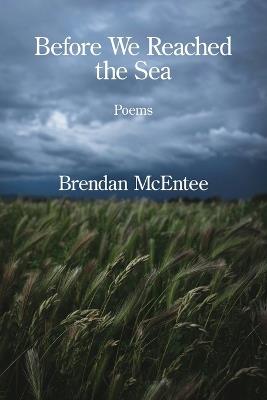 Before We Reached the Sea - Brendan McEntee - cover